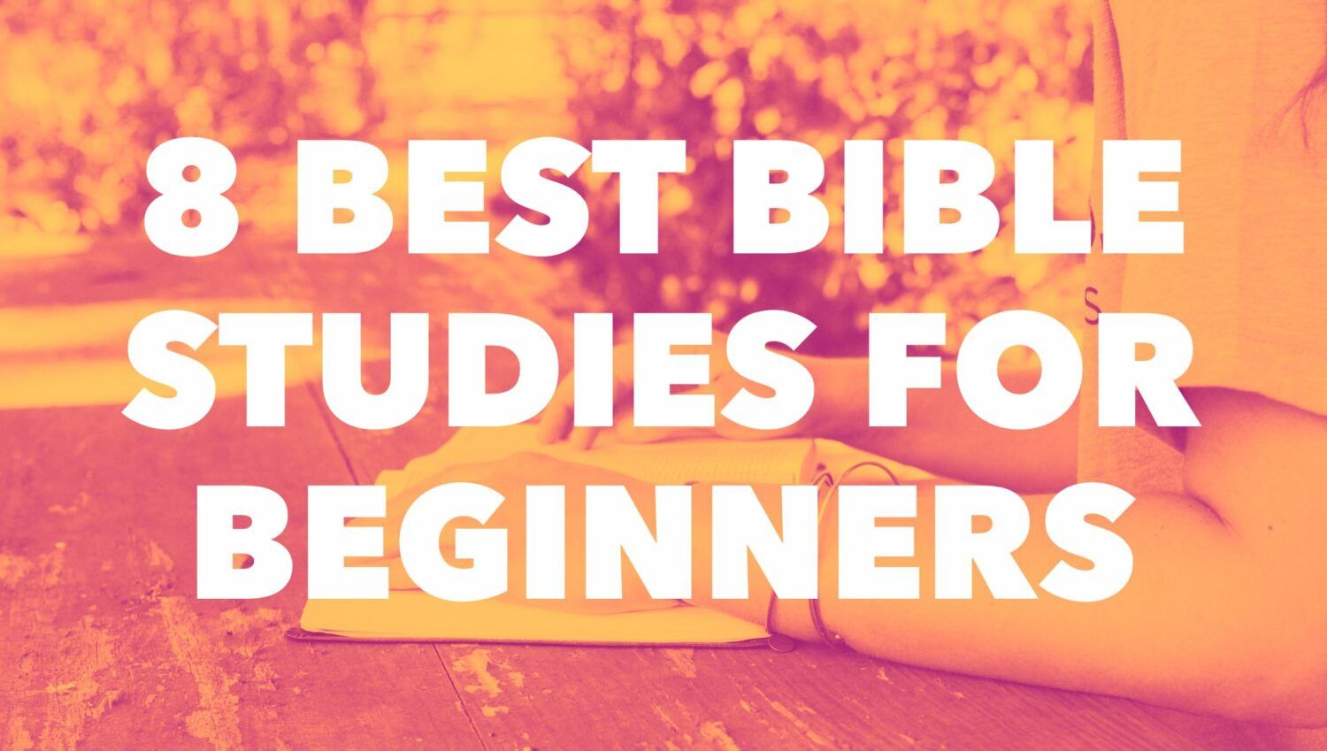 Bible Study for Beginners - The Top 8 Reviewed